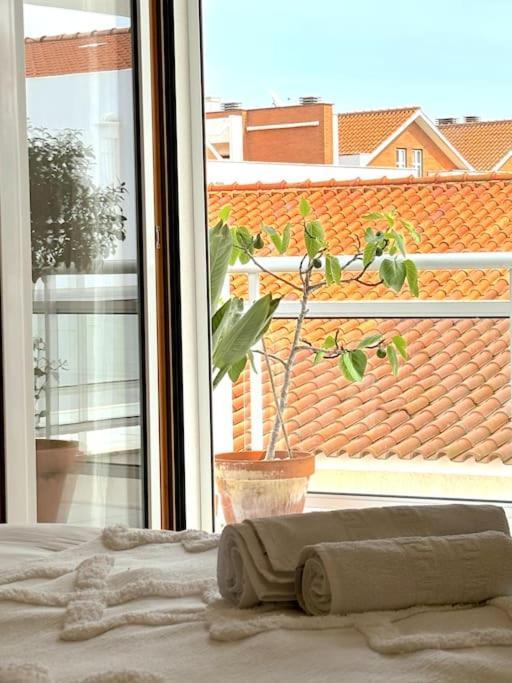 Nazare Boutique W Sea View And Private Rooftop Terace Eksteriør billede