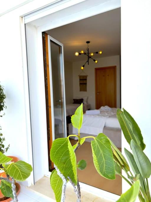 Nazare Boutique W Sea View And Private Rooftop Terace Eksteriør billede